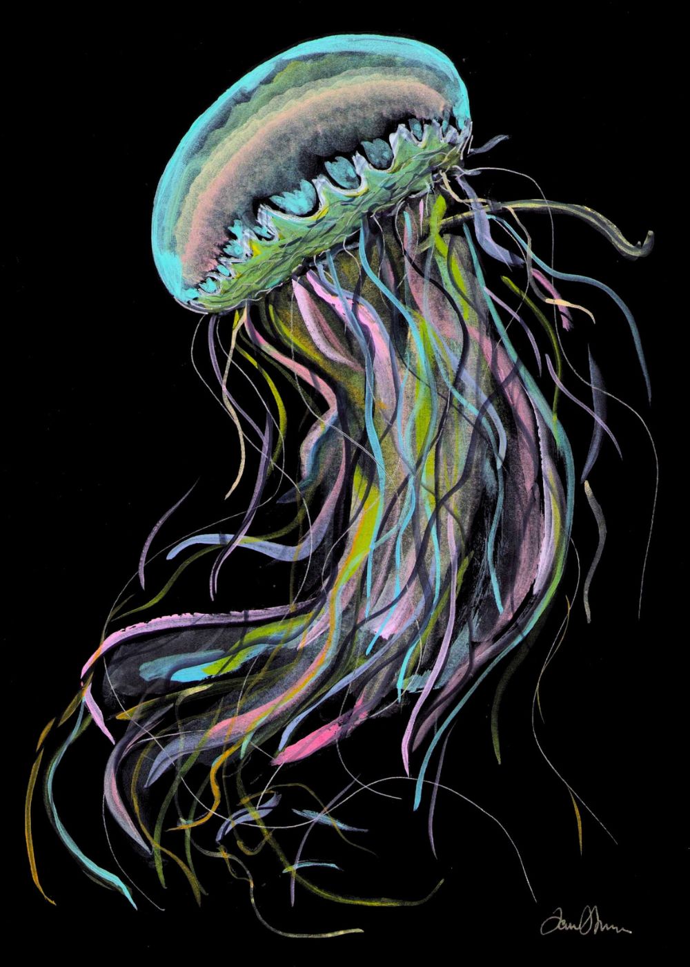 Collection - Coastal Drift